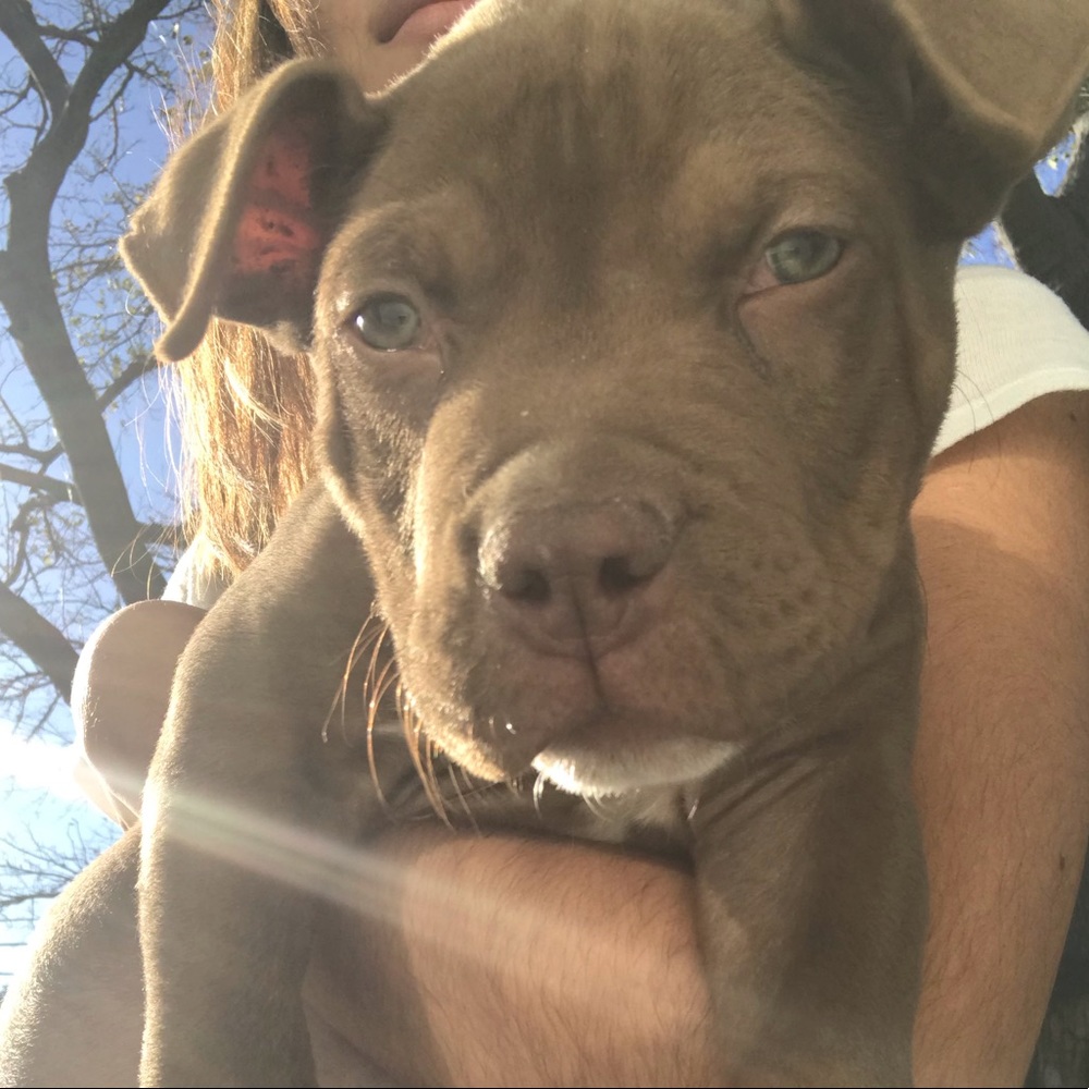 Meet your Posher, Karen